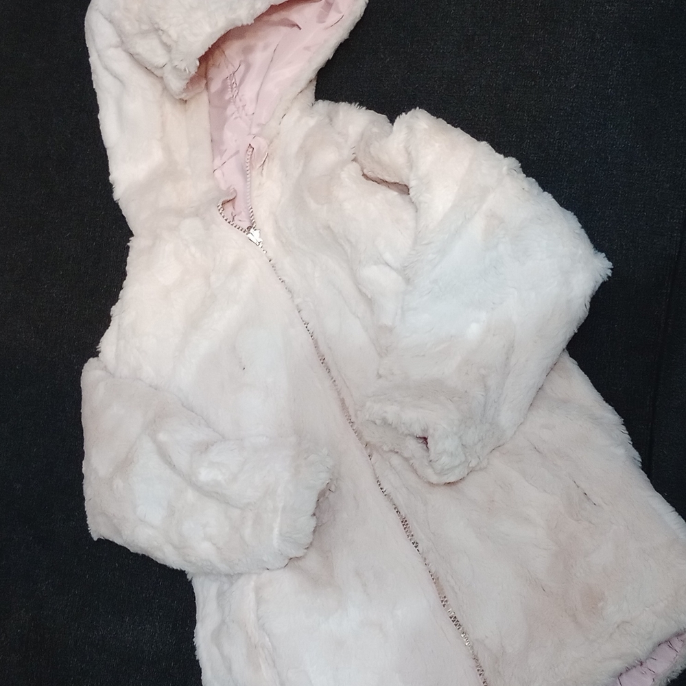 Jacket - Picture 8 of 9